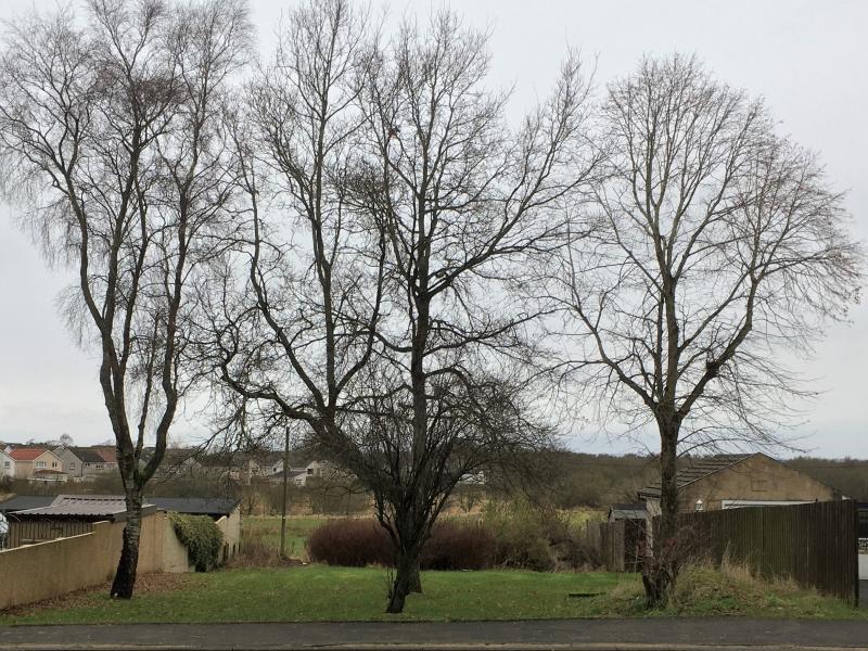 Under offer House plot for sale 455461 Street, Wishaw